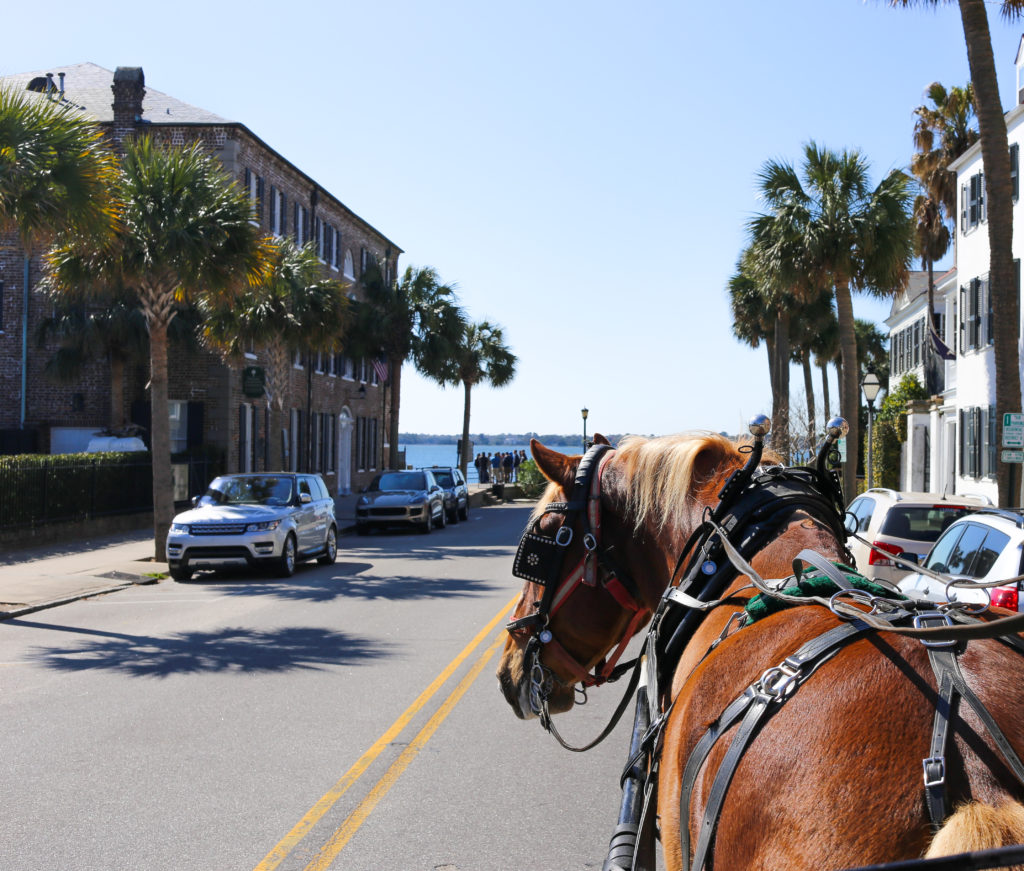 historic-carriage-ride-charleston